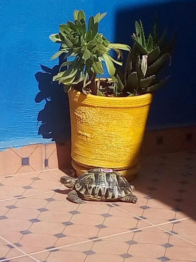 Riad Zinnha Marrakesh Exterior foto